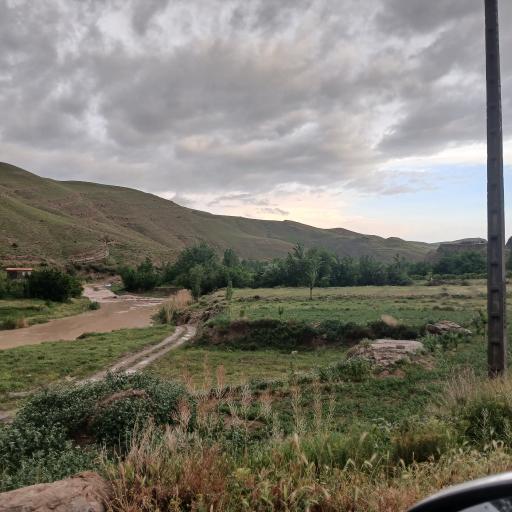 عکس زوخانو
