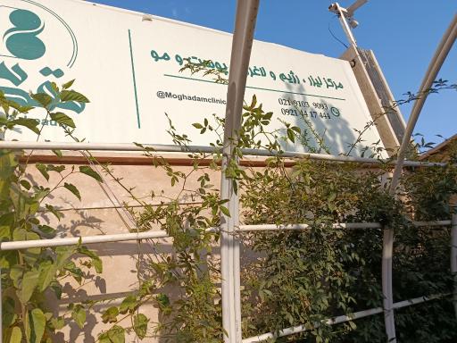 عکس دکتر مقدس