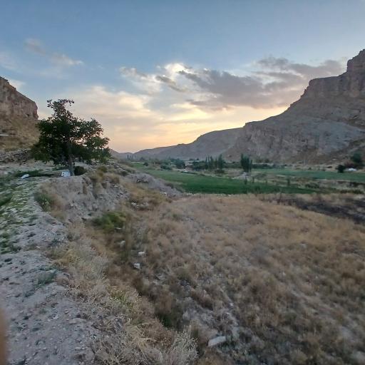 عکس زوخانو
