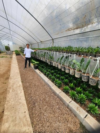 عکس پایانه گل و گیاه تنکابن