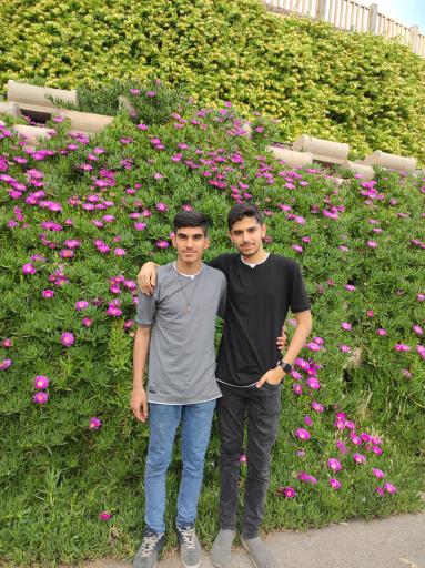 عکس بوستان خضر