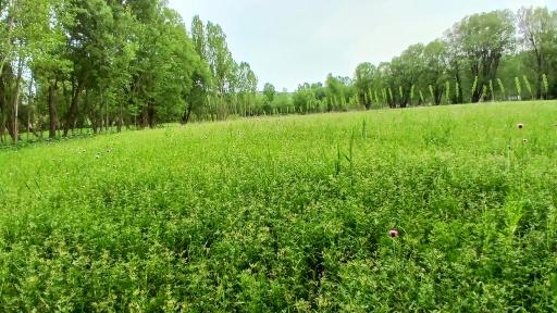 عکس مجموعه تفرجگاه بولاغلار نیر