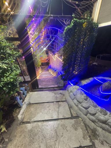 عکس باغچه رستوران پدیده