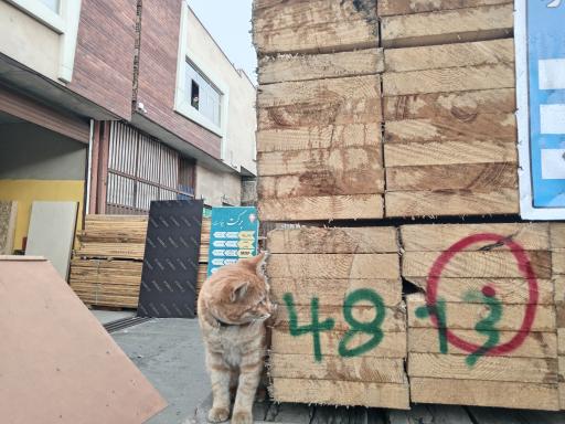 عکس مجتمع چوب برکت