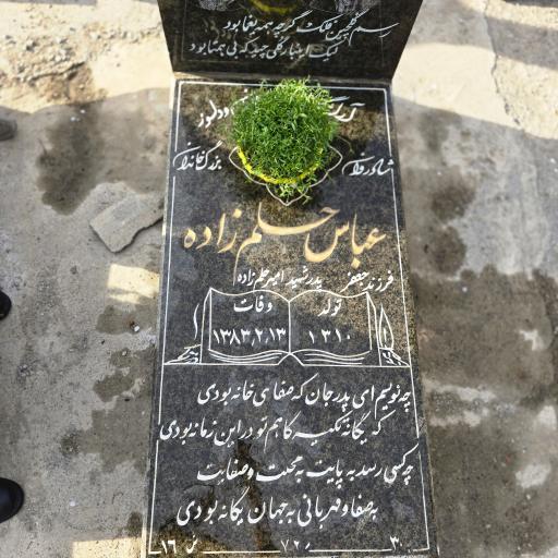 عکس ارامگاه  عباس حِلم زاده