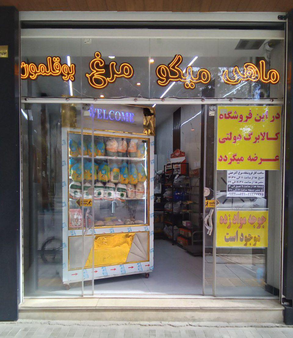 عکس مرغ آذرخش