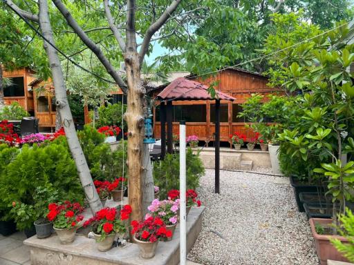 عکس باغ رستوران سفیران