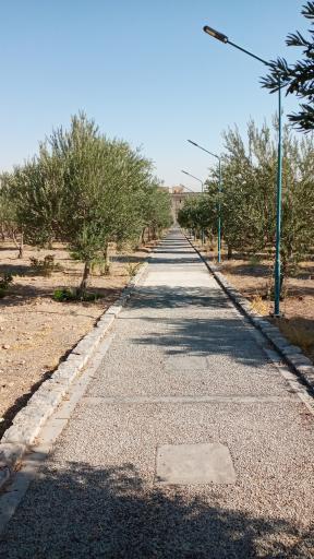 عکس دانشگاه اصفهان