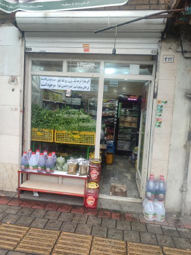 عکس سبزی خرد کنی سبزینه 