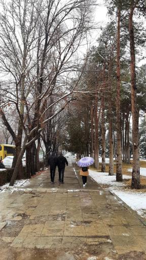 عکس دانشگاه اصفهان