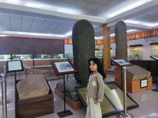 عکس موزه تاریخ طبیعی