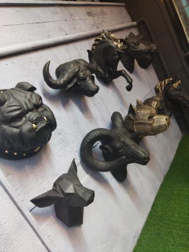 عکس تولیدی جانا