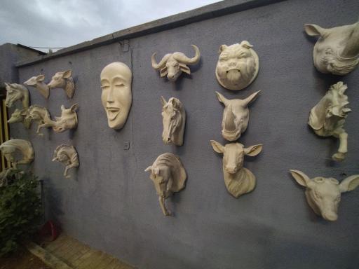 عکس تولیدی جانا