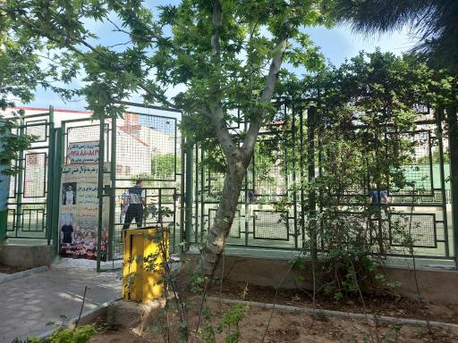 عکس زمین فوتبال پارک پیروزی