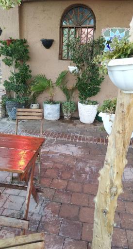 عکس کافه خانه سبز طی باد 