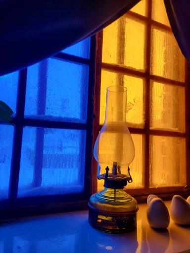 عکس کافه خانه سبز طی باد 