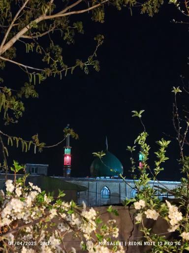 عکس مسجد ولیعصر (عج)