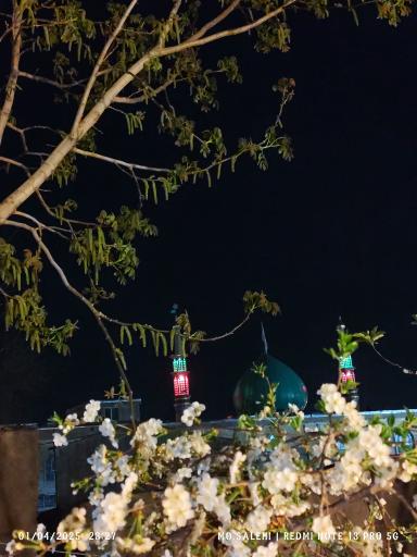 عکس مسجد ولیعصر (عج)