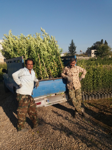 عکس نهالستان آراسته (شعبه ماهفورجک)