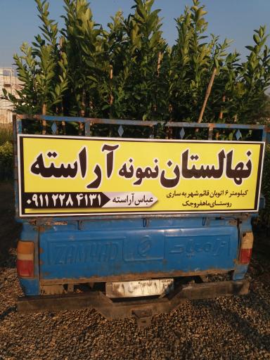 عکس نهالستان آراسته (شعبه ماهفورجک)