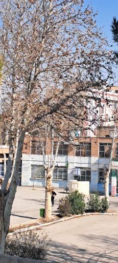 عکس دبیرستان شهید شیرازی