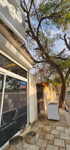 عکس کافه سورنا 