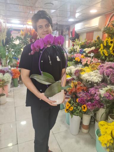 گلفروشی افشین