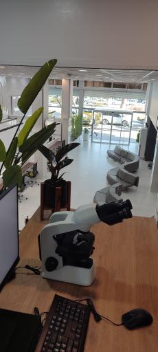 آزمایشگاه پاتوبیولوژی پایا