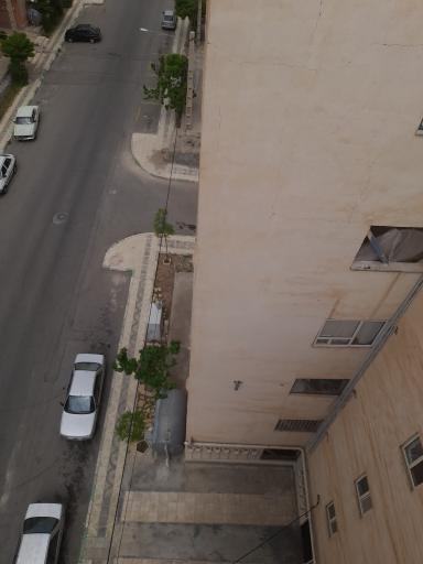 عکس مجتمع صدف