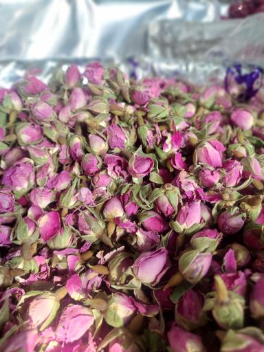 عکس مستر کافئین +