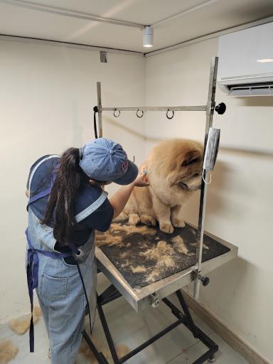 عکس کلینیک دامپزشکی کالج