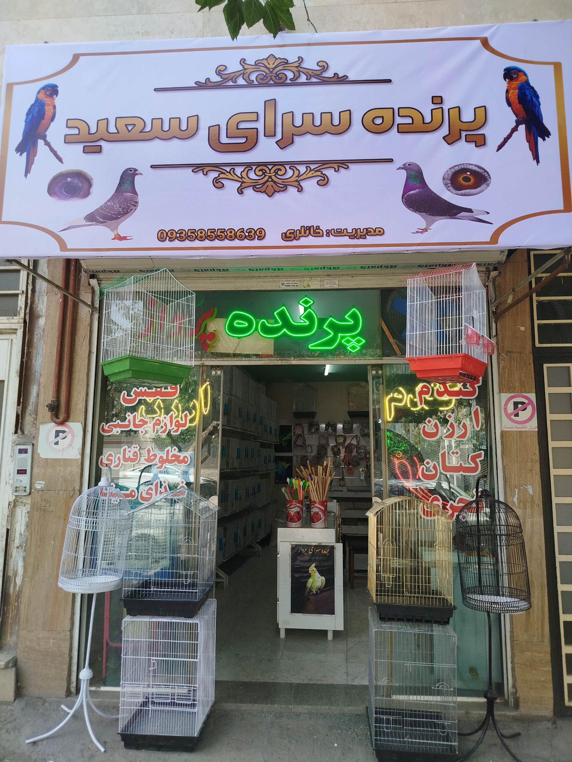 عکس پرنده سرای سعید