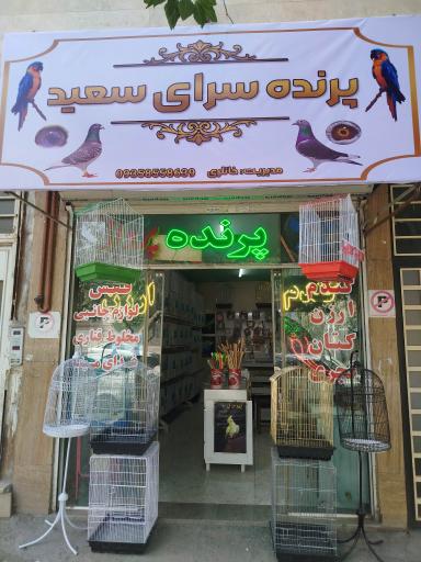 عکس پرنده سرای سعید