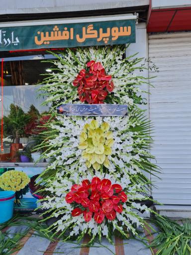 گلفروشی افشین