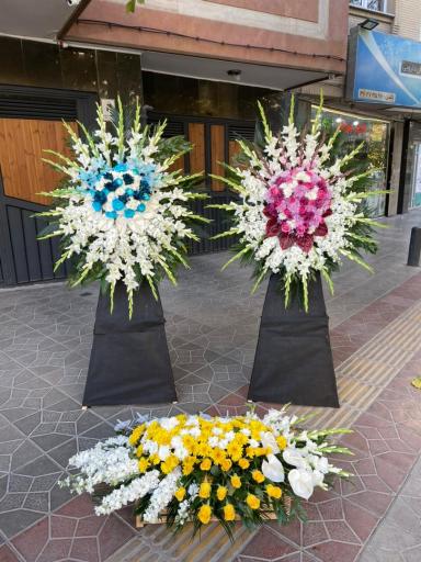 عکس گلفروشی گل کویر