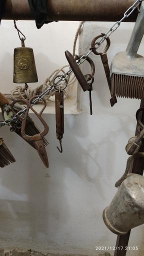 عکس نی‌ریز