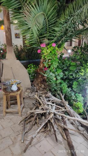 عکس نی‌ریز