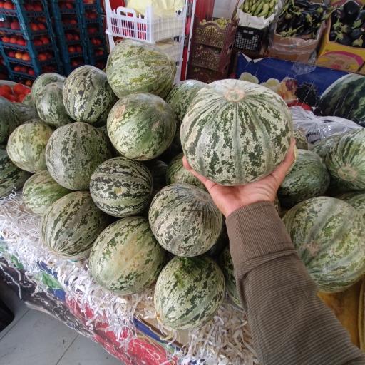 عکس میوه سرای سعید