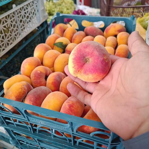 عکس میوه سرای سعید