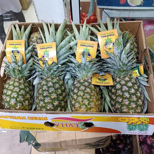 عکس میوه سرای سعید