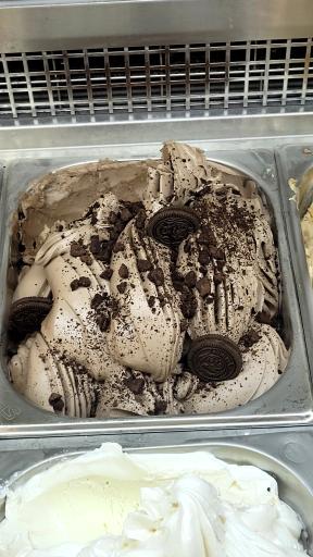 عکس کافی شاپ بلوط