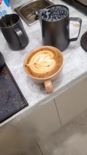 عکس کافی شاپ بلوط