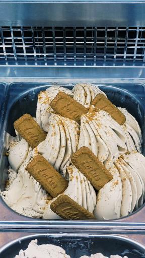 عکس کافی شاپ بلوط