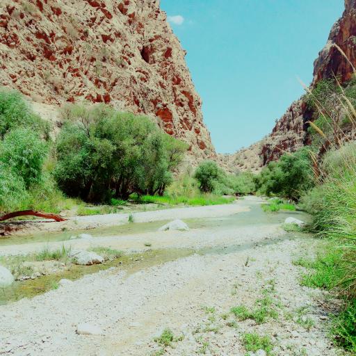 عکس نی‌ریز