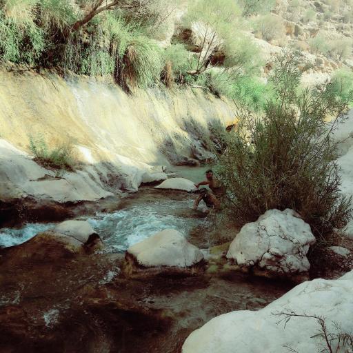 عکس نی‌ریز