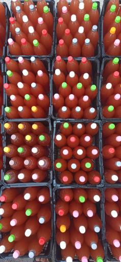 لیمو سرای سالار