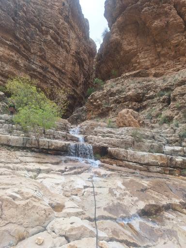 عکس نی‌ریز