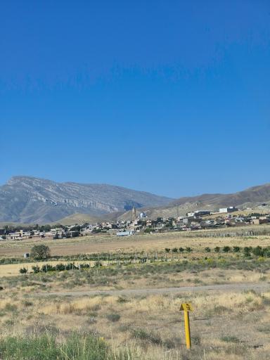 عکس قولنجی