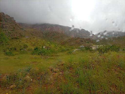 عکس نی‌ریز
