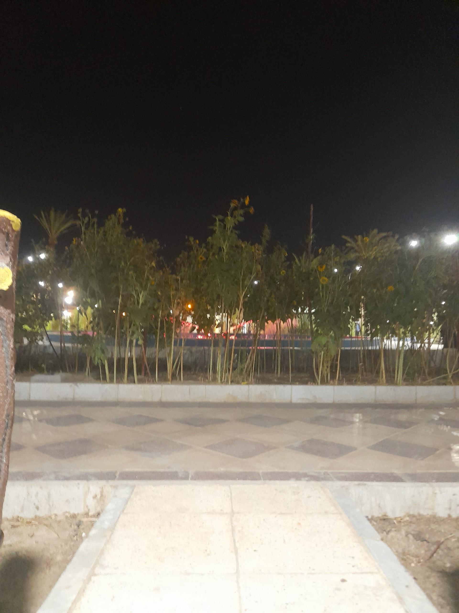 عکس بوستان الغدیر